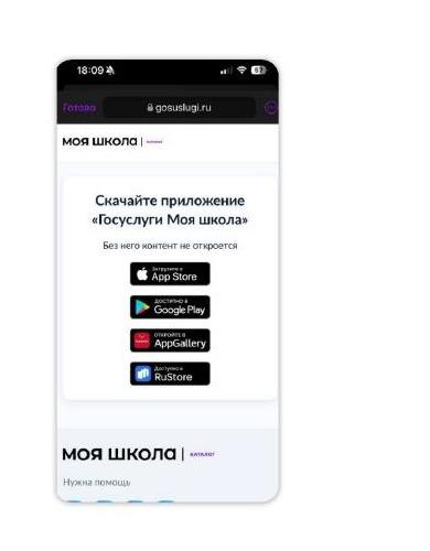 Официальная страница установки приложения